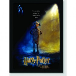 Quadro Poster Filme Harry Potter e a Camara Secreta 01