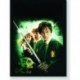 Quadro Poster Filme Harry Potter e a Camara Secreta 02