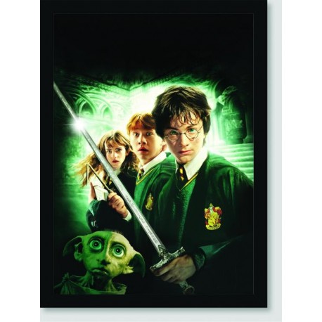 Quadro Poster Filme Harry Potter e a Camara Secreta 02