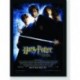 Quadro Poster Filme Harry Potter e a Camara Secreta 03