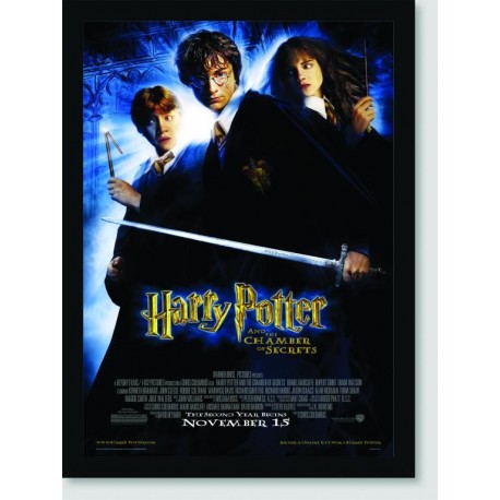 Quadro Poster Filme Harry Potter e a Camara Secreta 03