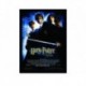 Quadro Poster Filme Harry Potter e a Camara Secreta 03