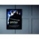 Quadro Poster Filme Harry Potter e a Camara Secreta 03