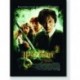 Quadro Poster Filme Harry Potter e a Camara Secreta 04