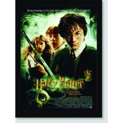 Quadro Poster Filme Harry Potter e a Camara Secreta 04