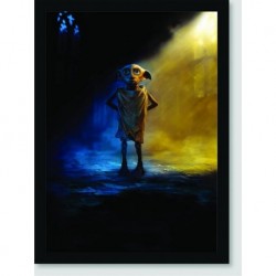 Quadro Poster Filme Harry Potter e a Camara Secreta 05