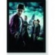 Quadro Poster Filme Harry Potter e o Enigma do Principe 01