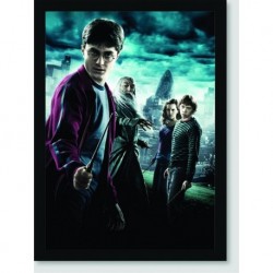 Quadro Poster Filme Harry Potter e o Enigma do Principe 01