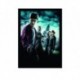 Quadro Poster Filme Harry Potter e o Enigma do Principe 01