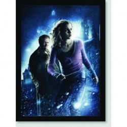 Quadro Poster Filme Harry Potter e o Enigma do Principe 02