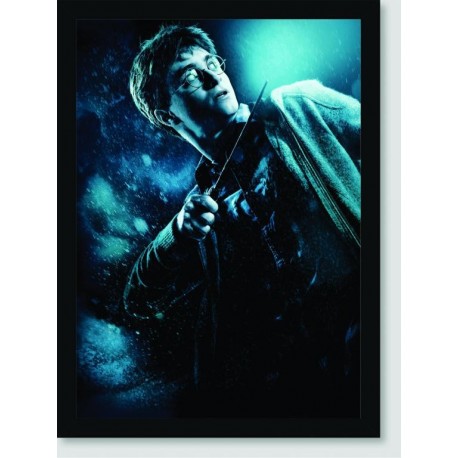 Quadro Poster Filme Harry Potter e o Enigma do Principe 03