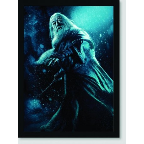 Quadro Poster Filme Harry Potter e o Enigma do Principe 05