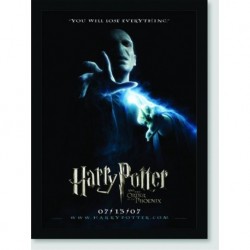Quadro Poster Filme Harry Potter e a Ordem da Fenix 01
