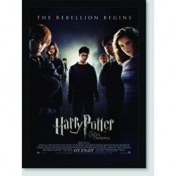 Quadro Poster Filme Harry Potter e a Ordem da Fenix 02