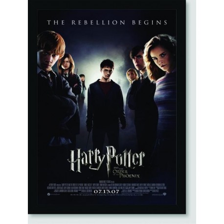 Quadro Poster Filme Harry Potter e a Ordem da Fenix 02