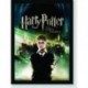 Quadro Poster Filme Harry Potter e a Ordem da Fenix 03