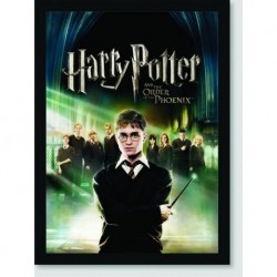 Quadro Poster Filme Harry Potter e a Ordem da Fenix 03