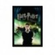 Quadro Poster Filme Harry Potter e a Ordem da Fenix 03
