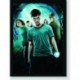 Quadro Poster Filme Harry Potter e a Ordem da Fenix 04