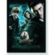 Quadro Poster Filme Harry Potter e a Ordem da Fenix 05
