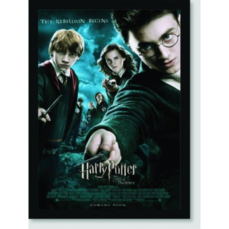 Quadro Poster Filme Harry Potter e a Ordem da Fenix 05