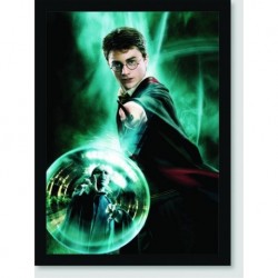 Quadro Poster Filme Harry Potter e a Ordem da Fenix 06