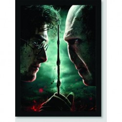 Quadro Poster Filme Harry Potter e a Ordem da Fenix 08