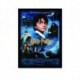 Quadro Poster Filme Harry Potter e a Pedra Filosofal 01