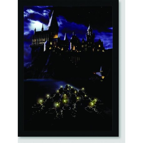 Quadro Poster Filme Harry Potter e a Pedra Filosofal 02