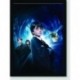 Quadro Poster Filme Harry Potter e a Pedra Filosofal 03