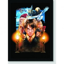 Quadro Poster Filme Harry Potter e a Pedra Filosofal 04