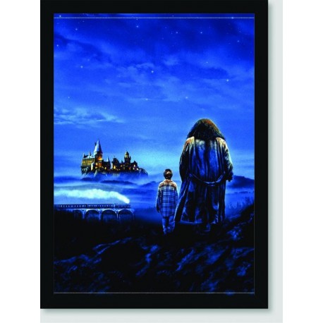 Quadro Poster Filme Harry Potter e a Pedra Filosofal 05