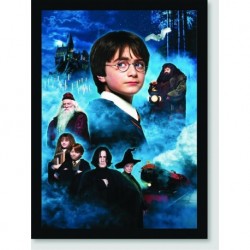 Quadro Poster Filme Harry Potter e a Pedra Filosofal 06