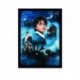 Quadro Poster Filme Harry Potter e a Pedra Filosofal 06