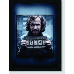 Quadro Poster Filme Harry Potter e o Prisioneiro de Askaban 01