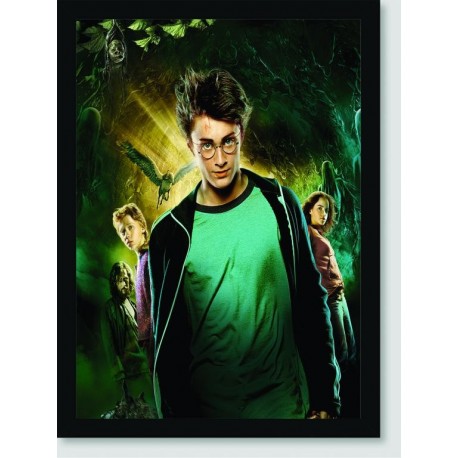Quadro Poster Filme Harry Potter e o Prisioneiro de Askaban 03