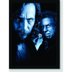 Quadro Poster Filme Harry Potter e o Prisioneiro de Askaban 05