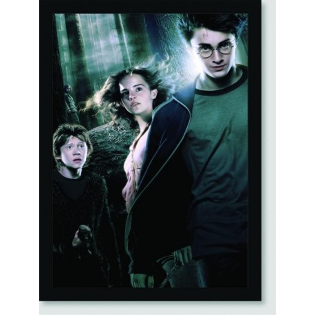 Quadro Poster Filme Harry Potter e o Prisioneiro de Askaban 06