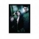Quadro Poster Filme Harry Potter e o Prisioneiro de Askaban 06