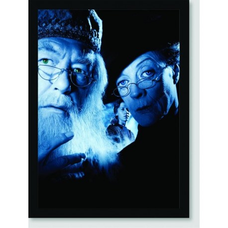 Quadro Poster Filme Harry Potter e o Prisioneiro de Askaban 09