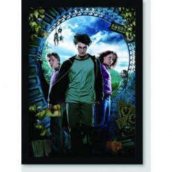 Quadro Poster Filme Harry Potter e o Prisioneiro de Askaban 10