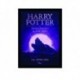 Quadro Poster Filme Harry Potter e o Prisioneiro de Askaban 11