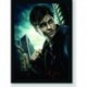 Quadro Poster Filme Harry Potter e as Reliquias da Morte 01