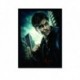 Quadro Poster Filme Harry Potter e as Reliquias da Morte 01