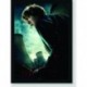 Quadro Poster Filme Harry Potter e as Reliquias da Morte 02