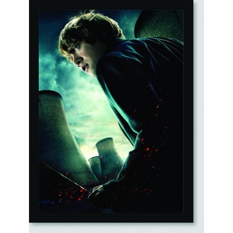 Quadro Poster Filme Harry Potter e as Reliquias da Morte 02