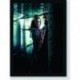 Quadro Poster Filme Harry Potter e as Reliquias da Morte 03
