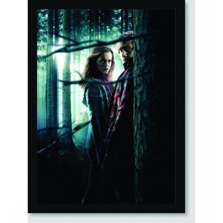 Quadro Poster Filme Harry Potter e as Reliquias da Morte 03