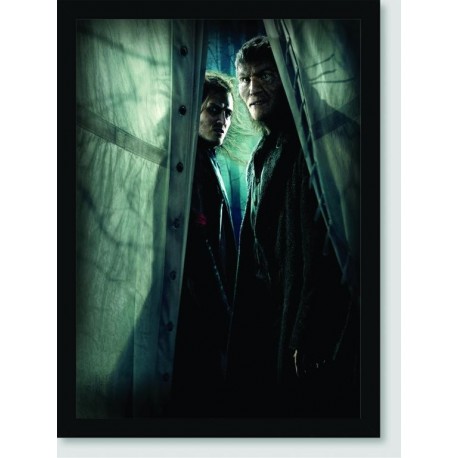 Quadro Poster Filme Harry Potter e as Reliquias da Morte 04