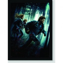 Quadro Poster Filme Harry Potter e as Reliquias da Morte 05